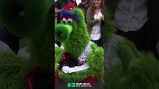 WATCH: Phillies new service dog Major visits CBS Philadelphia