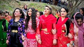 مراسم نوروز روستای نسل مریوان ۱۴۰۳ خوشترین هلپرکی نوروز کوردی 3 Halparke Newroz kurdistan