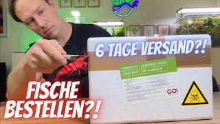 Fische im Internet bestellen - ein großer Fehler?! Meine ehrliche Meinung zum Tierversand! 25  100€