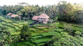 Villa Kelusa Ubud by Red Lotus Management & Property