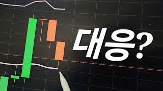 환호 속 하락!