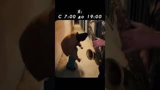 Когда решил больше не плясать под дудку своего начальника