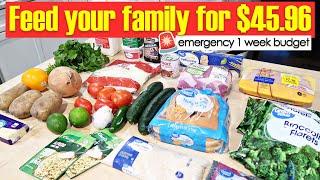 Emergency 1-Week Budget for Less than $50 (with prices)!