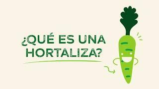 ¿Qué es una Hortaliza? - #HortalizasMX