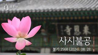 봉은사 사시불공(2024.08.28)