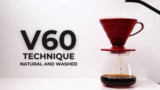 Hario V60 Technique You Need to Brew Natural and Washed Coffee