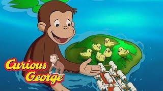 George To The Rescue!  Full Episodes | Curious George