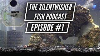 The Silentwisher Fish Podcast Ep. #1 - Our Current Aquariums