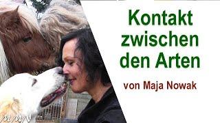 "Kontakt zwischen den Arten" -  von Maja Nowak