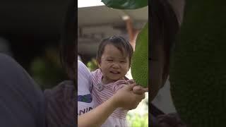 Tôi đã chọn được con đường rất đúng đắn vì Pháp Luân Công là Phật Pháp chân chính