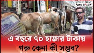 ৭০ হাজার টাকা নিয়ে গরু কেনার মিশন | Qurbani Cow Hat Meradia | Gorur Hat | Dhaka | Khobor Sangjog