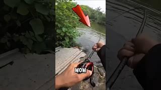 LIHAT GUYS MANCING IKAN STREK BESAR DI DANAU ANGKER‼️ #shorts #fishing #mancing