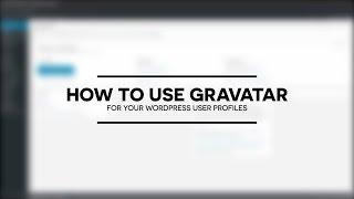 How to use Gravatar for user avatars in WordPress