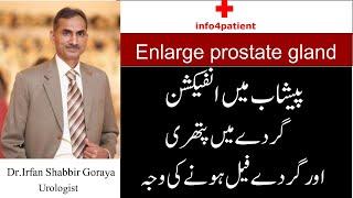 Enlarge prostate gland - Pehsab may infection - Urologist in Lahore