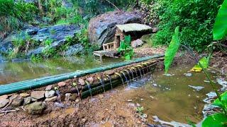 Build a beautiful shelter in the wild forest for survival