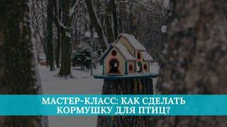 Мастер-класс: как сделать кормушку для птиц своими руками?