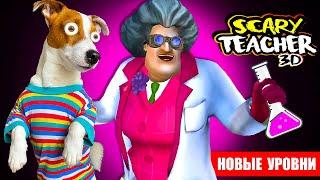 Злая Училка, что-то нахимичила  НОВЫЕ ПРАНКИ  Scary Teacher 3d