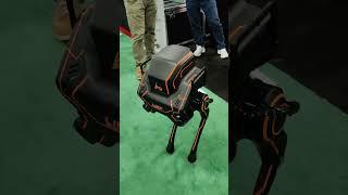 LIMX Dynamics Prototype AI Robot #robotics #ai #shorts