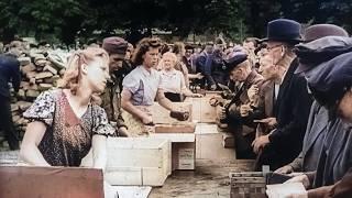 The War Took Our Childhood: Stories from the Third Reich