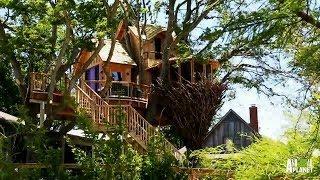 Behind the Build: Bird Nest Tree | Treehouse Masters