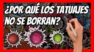 ¿POR QUÉ los TATUAJES no se BORRAN de tu PIEL?| La batalla oculta bajo tu piel