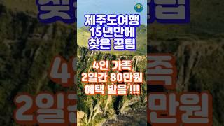 제주도 여행 15년만에 찾은 초특급 할인 티켓 정보, 4인 가족 2일간 80만원 혜택ㅣ#제주도 #제주여행 #가족여행 #티켓 #shorts #절약여행 #가성비여행 #제주투어패스