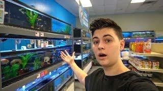 The COOLEST LOCAL FISH STORE TOUR!