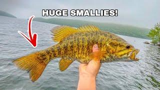 Bed fishing for HUGE smallies in the Quabbin Reservoir! (Best fishing EVER!)