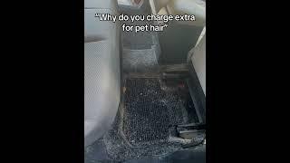 Whole carpet changed colors #PetHair #Hair #Vacuum #Extractor #Detail #Detailing #Car #Mats