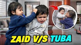 Zaid Vs Tuba