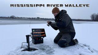 Ice Fishing Walleyes Near Open Water! (Mississippi River Backwaters)