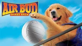 AIR BUD: SPIKES BACK Movie - Español Latino