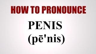 How To Pronounce Penis