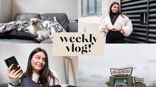 Weekly vlog! | Pupdates, shooting, getting vaccinated & home repairs! | beckyloubutton