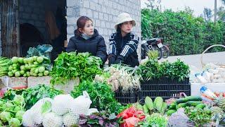 Harvest Vegetables On The Farm, The Process of Cooking Traditional Sticky Rice to Market - Gardening