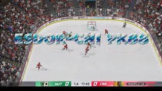 ESDOR VS CHI PK88 | MÖTER EN TWITCH STREAMER MED 5,9 TUSEN FÖLJARE!‼ | NHL 20 PÅ SVENSKA