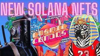 Checkout These New Solana NFTs!