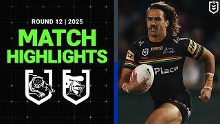 NRL Match Highlights 2025 | Panthers v Knights | Round 12