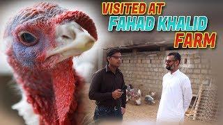 Visited At Fahad Khalid Farm house Gadap Town  Jamshed Asmi Informative Channel In Urdu/ Hindi