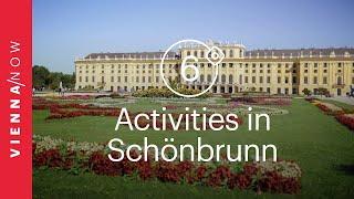 6 fun activities in and around Schönbrunn Palace