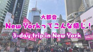 【アメリカ旅行】大都会NewYork/2泊3日の旅/3-day trip to NY