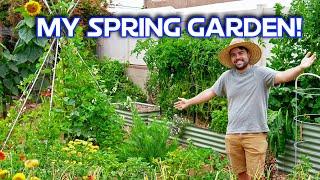 Spring Garden Tour 2024 | Vegetables, Natives, Trees, and More!
