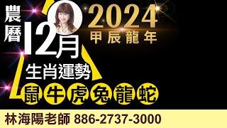 2024農曆12月，生肖運勢大解析（鼠、牛、虎、兔、龍、蛇）【林海陽】_20241228