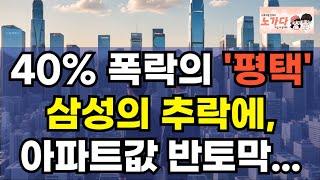 40% 폭락의 '평택' 삼성의 추락에 아파트값 반토막. 상가, 상권은 무너지고 신축 지식산업센터는 텅텅. 평택 부동산 가격 '폭락' 경고! 집값전망 이야기 하락 폭락 노가다 노비