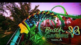 Bush Garden Tampa ( Free Admission new years eve )