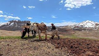 Daily Life in the Mountains | Nomadic Lifestyle Documentary