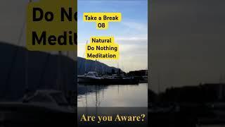 Take a Break 08 (a - zen) with Natural Do Nothing Meditation