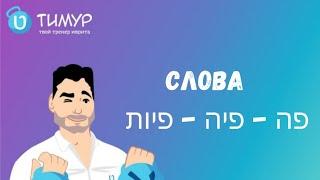 Слова פה - פיה - פיות |《Тимур Мильгром