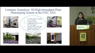 Holistic and component-based, dynamic, vegetative-stage plant-phenotyping analysis HD