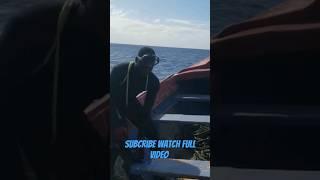 diving #shorts #spearfishing #fishing #oilboss #fish